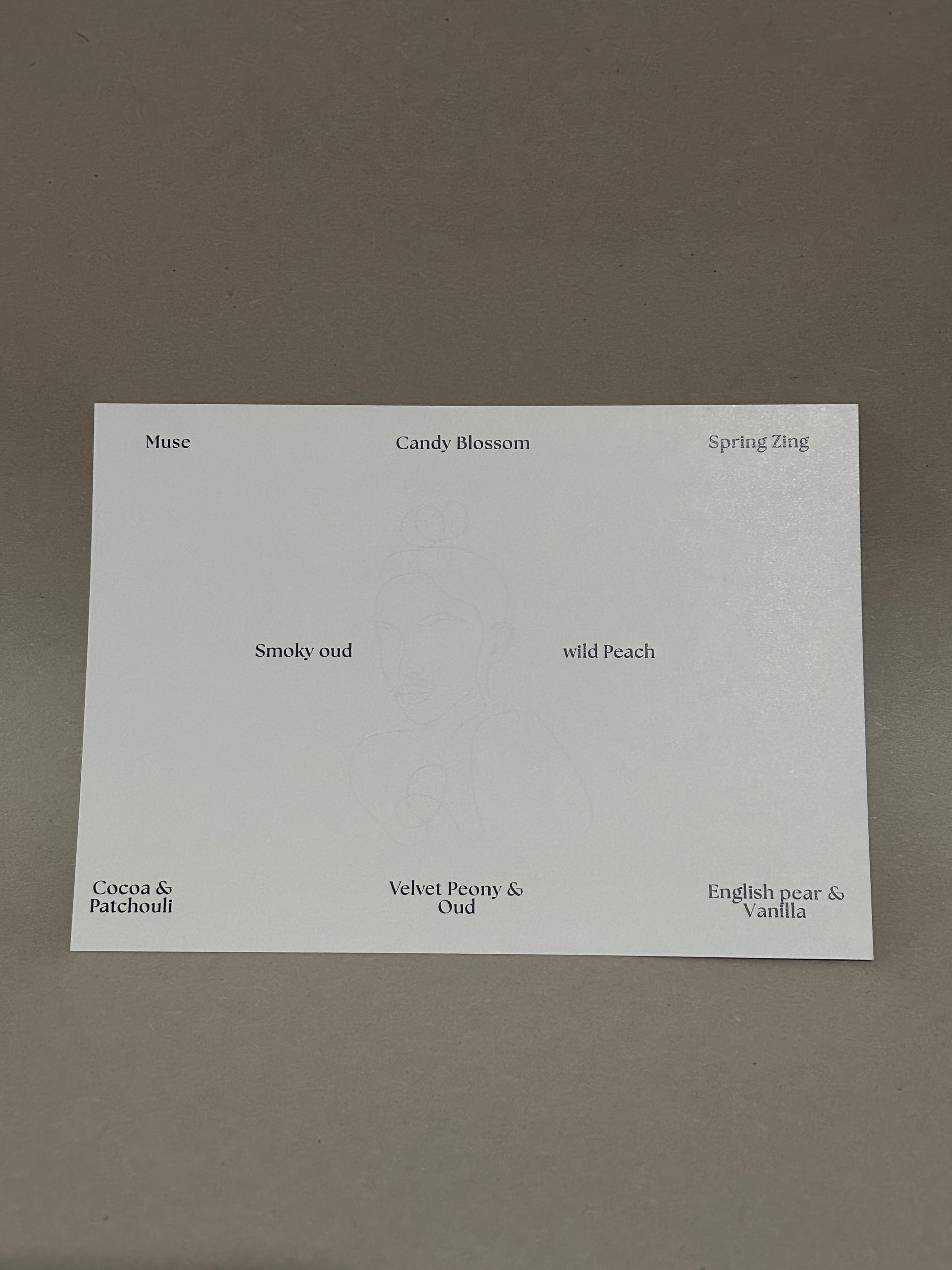 The Scent Library image 2